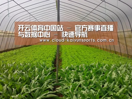 种植基地四