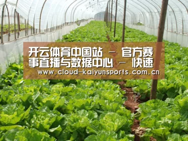 种植基地五
