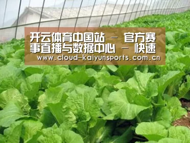 种植基地一