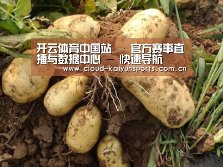 种植基地六