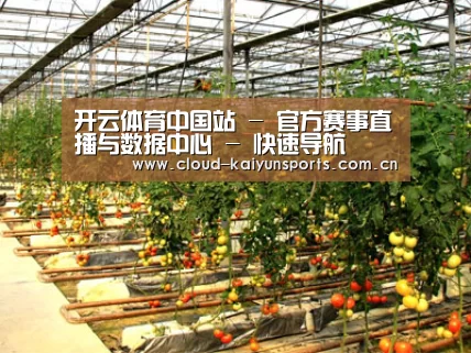 种植基地二