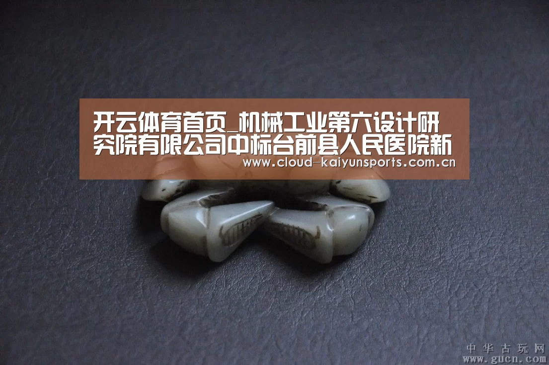 开云体育首页_机械工业第六设计研究院有限公司中标台前县人民医院新区医院及养老中心项目(图2) 开云体育首页