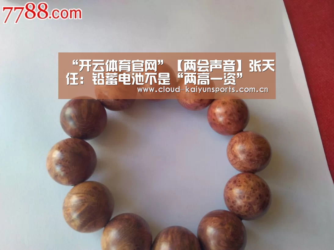 “开云体育官网”【两会声音】张天任:铅蓄电池不是“两高一资”(图1) 开云体育官网