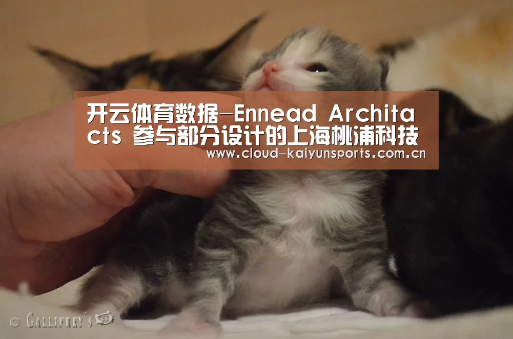 开云体育数据-Ennead Architacts 参与部分设计的上海桃浦科技城(图1) 开云体育官网
