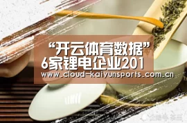 开云体育数据