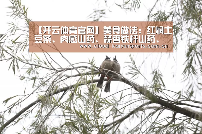 【开云体育官网】美食做法:红焖土豆条、肉感山药、蒜香铁杆山药、铁盘焗松茸(图3) 开云直播
