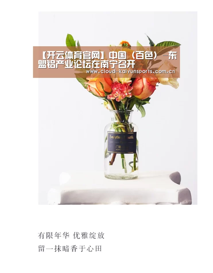 【开云体育官网】中国(百色)-东盟铝产业论坛在南宁召开(图1) 开云直播