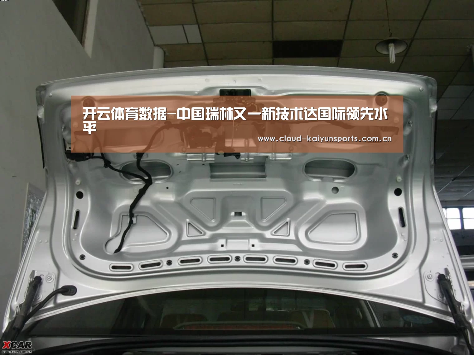 开云体育数据