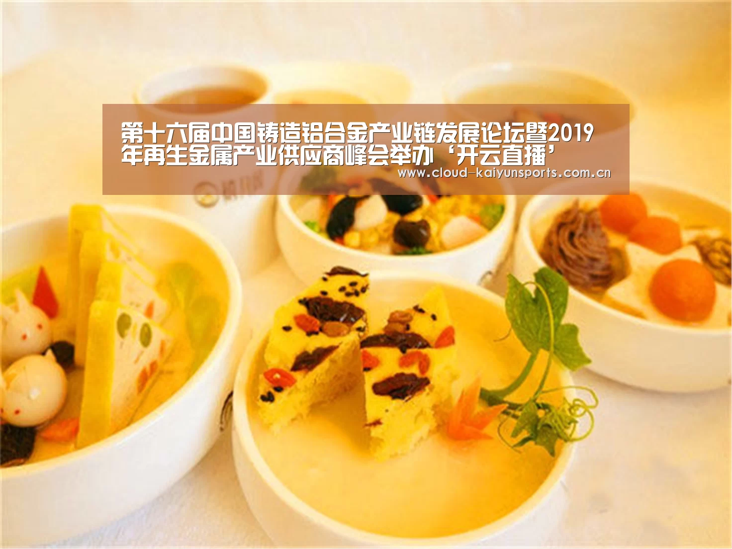 第十六届中国铸造铝合金产业链发展论坛暨2019年再生金属产业供应商峰会举办‘开云直播’(图2) 开云体育数据